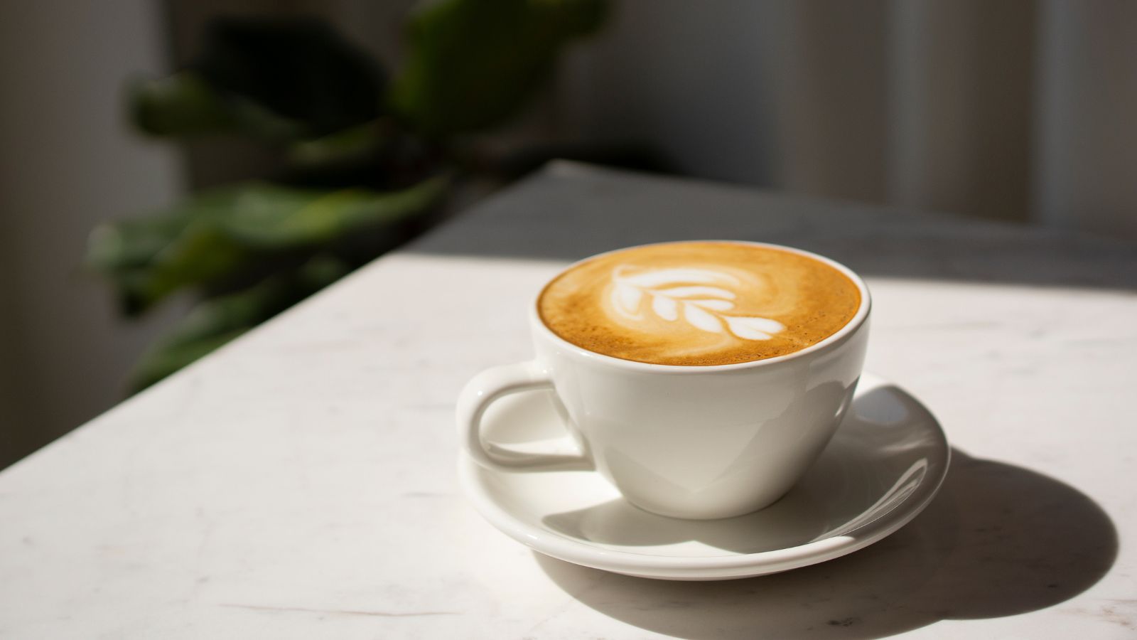 Decafe white
